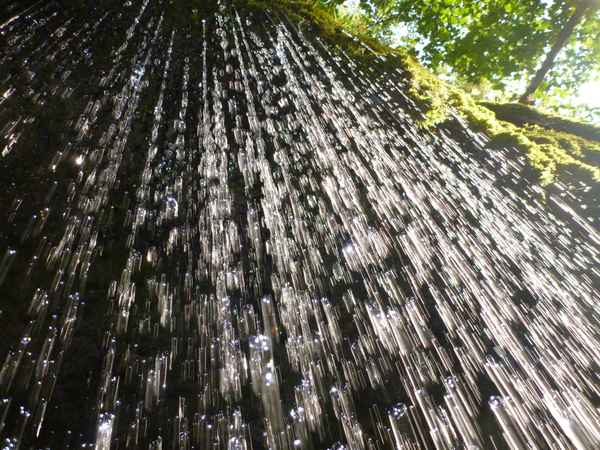 Erfrischende Naturdusche im Schwarzwald II