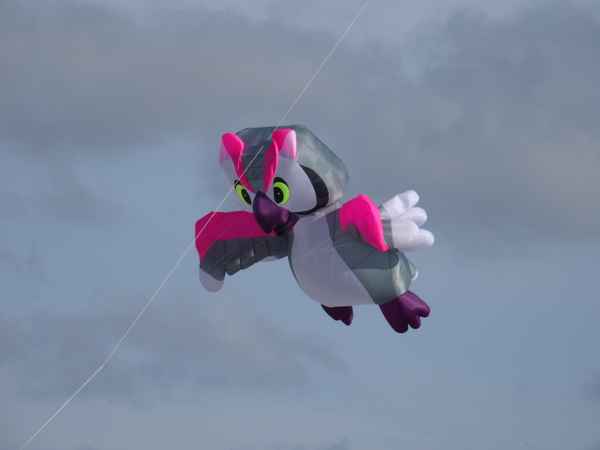 eulendrache fliegt am himmel