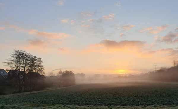 Ein nebeliger Morgen