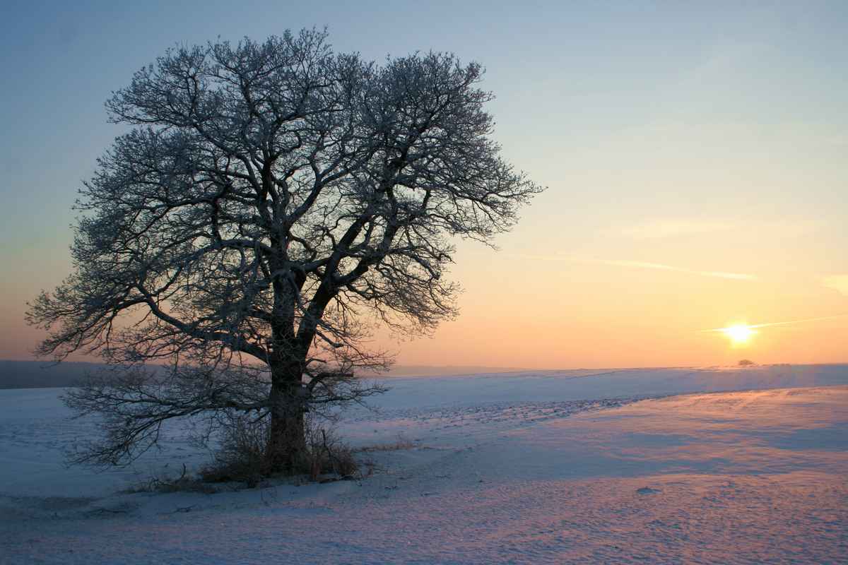 Wintersonne oder minus 11 Grad