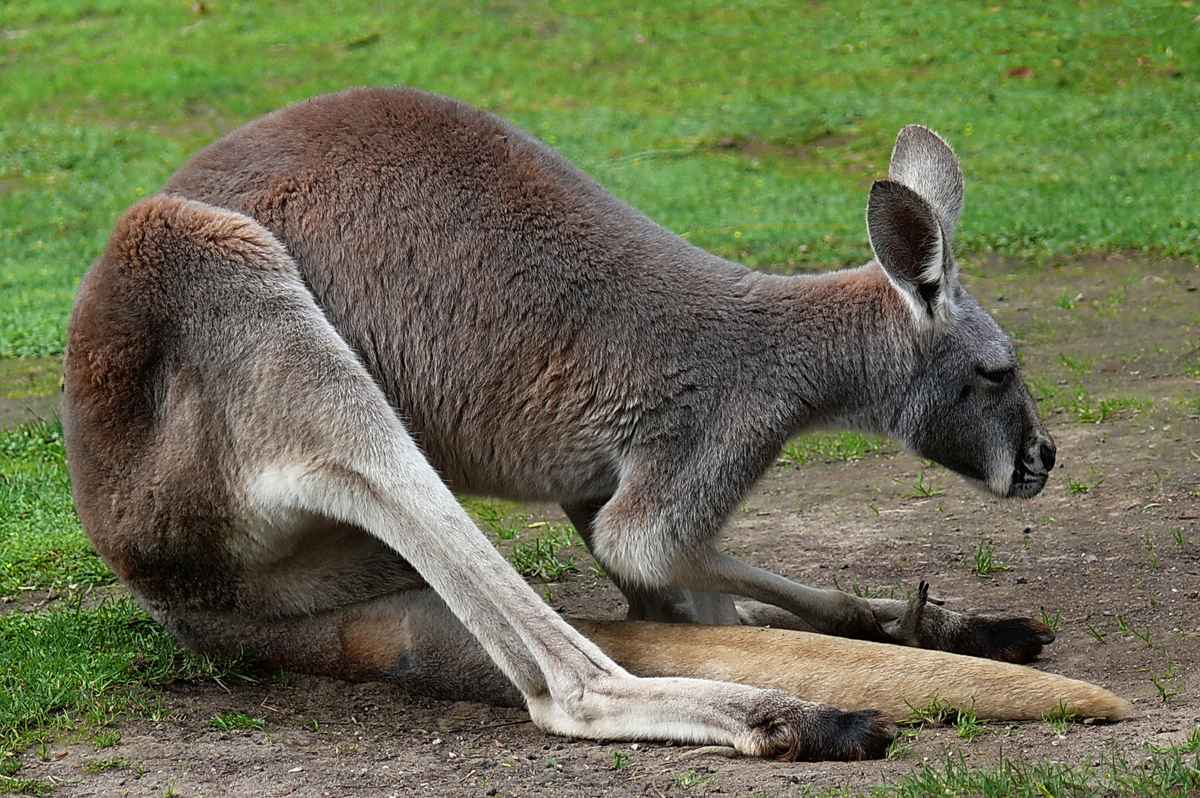 ziemlich viel Bein...