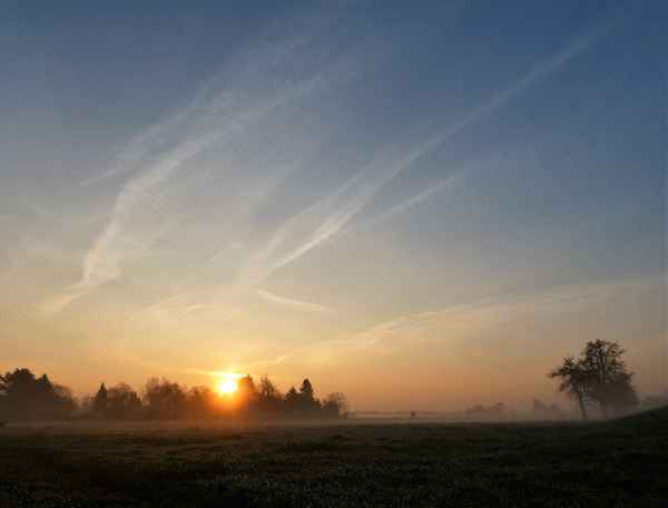 Spaziergang im Morgennebel