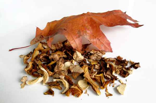 Gedörrte Pilze für eine rassige Jägersauce