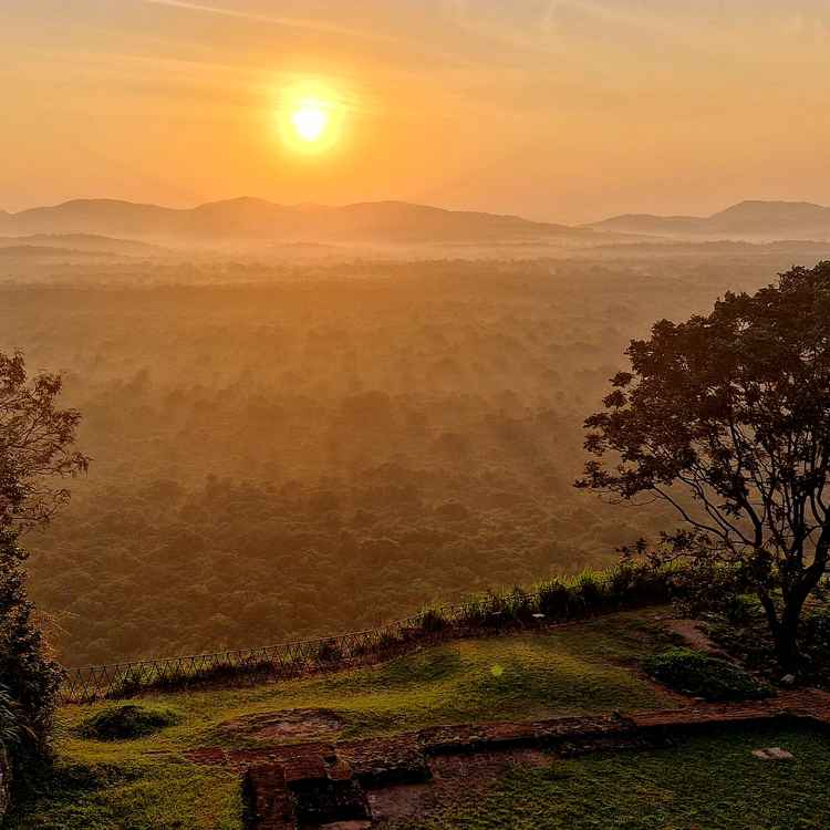 Sonnenaufgang auf dem Loewenfelsen