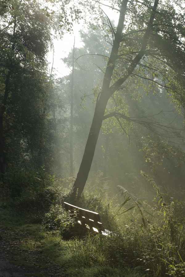 morgenstille 3