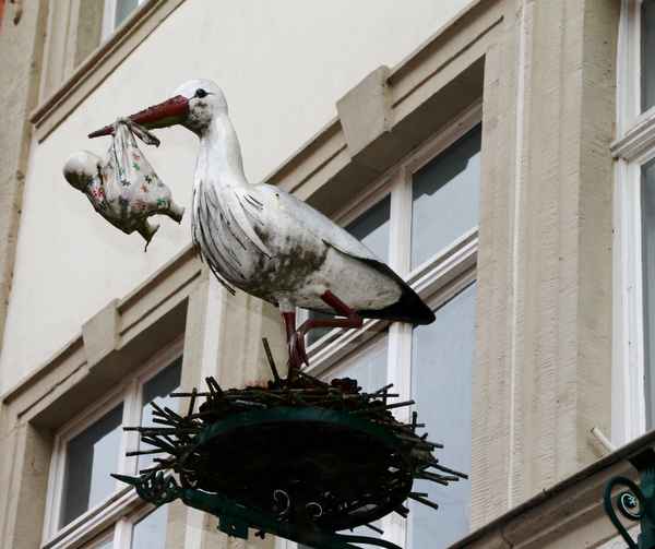 Der Storch und das Baby