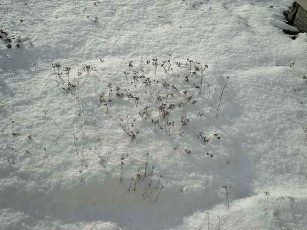 Schneestruktur