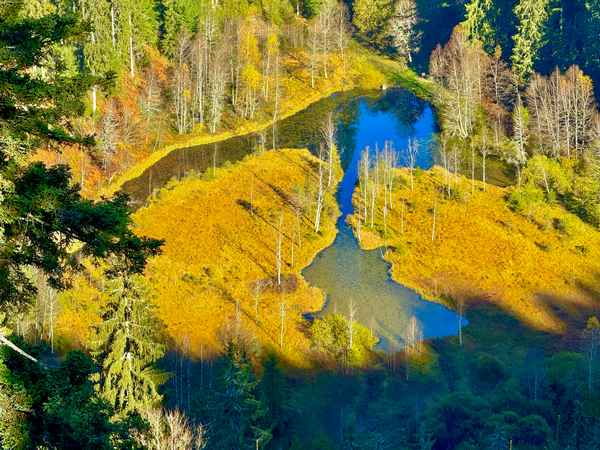 Ellbachsee von Aussichtskanzel