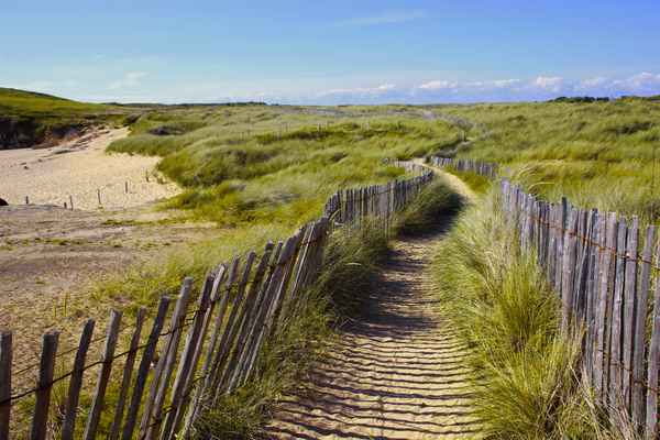 Spaziergang durch die Dünen
