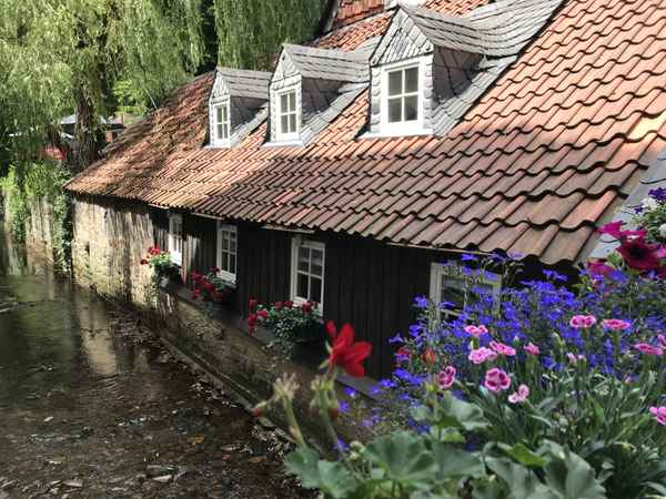 Goslar: Malerische Stadtansicht / Foto: Alexander Hauk