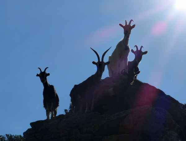 Gemeinsam Ziele erreichen