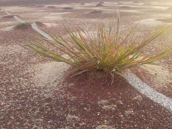 Das Ende einer Tartanfläche