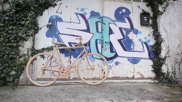 Geil ein Fahrrad aus pappe!