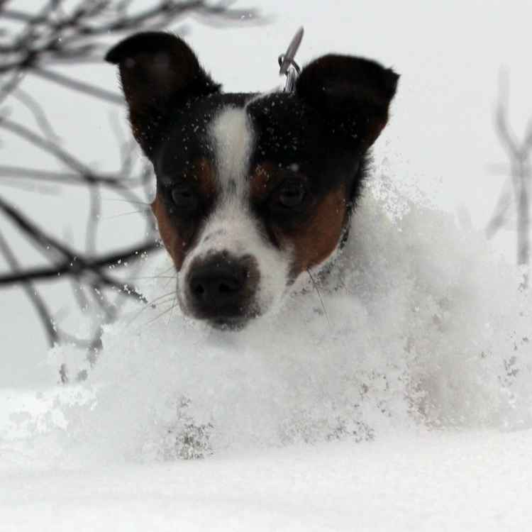 gute Winterreifen