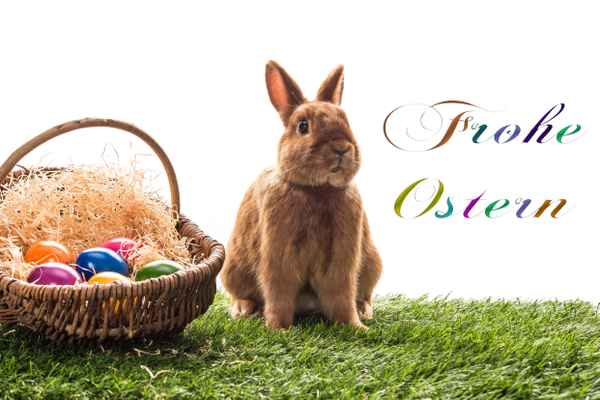 Osterhase