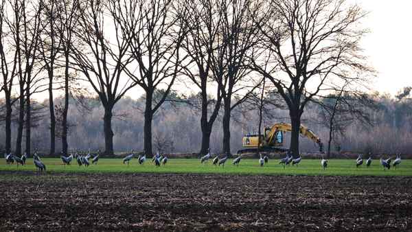 natur trifft auf technik