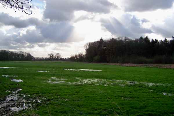 Wiese - Wolken