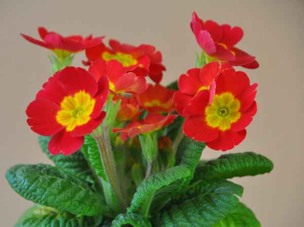 warten auf den Frühling...