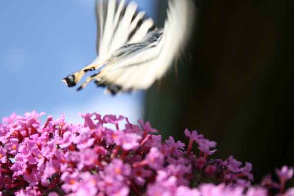 Abflug!