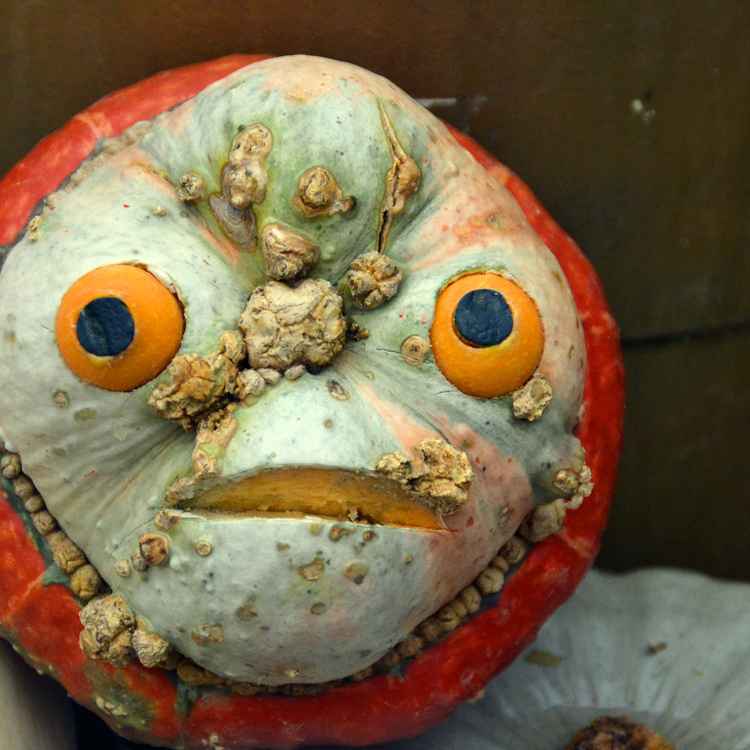 Halloween-Kürbis