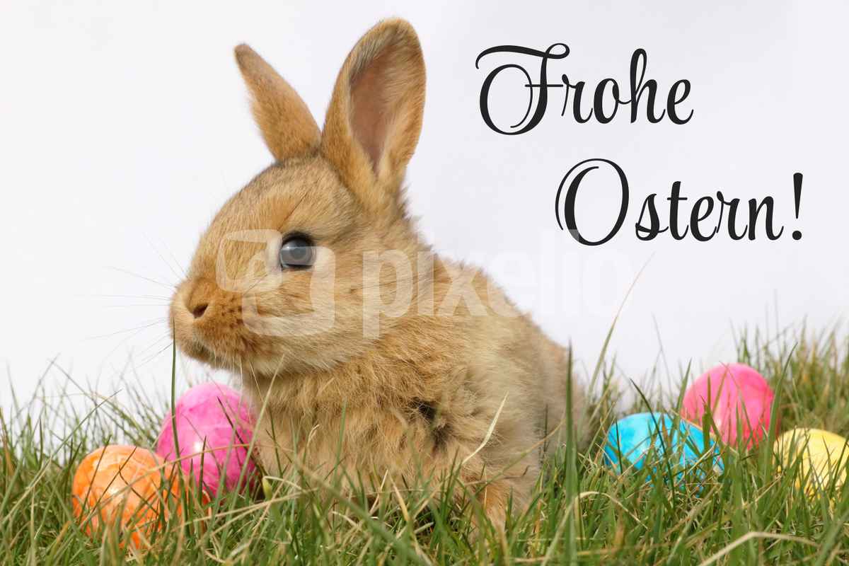 Frohe Ostern mit Osterhasen