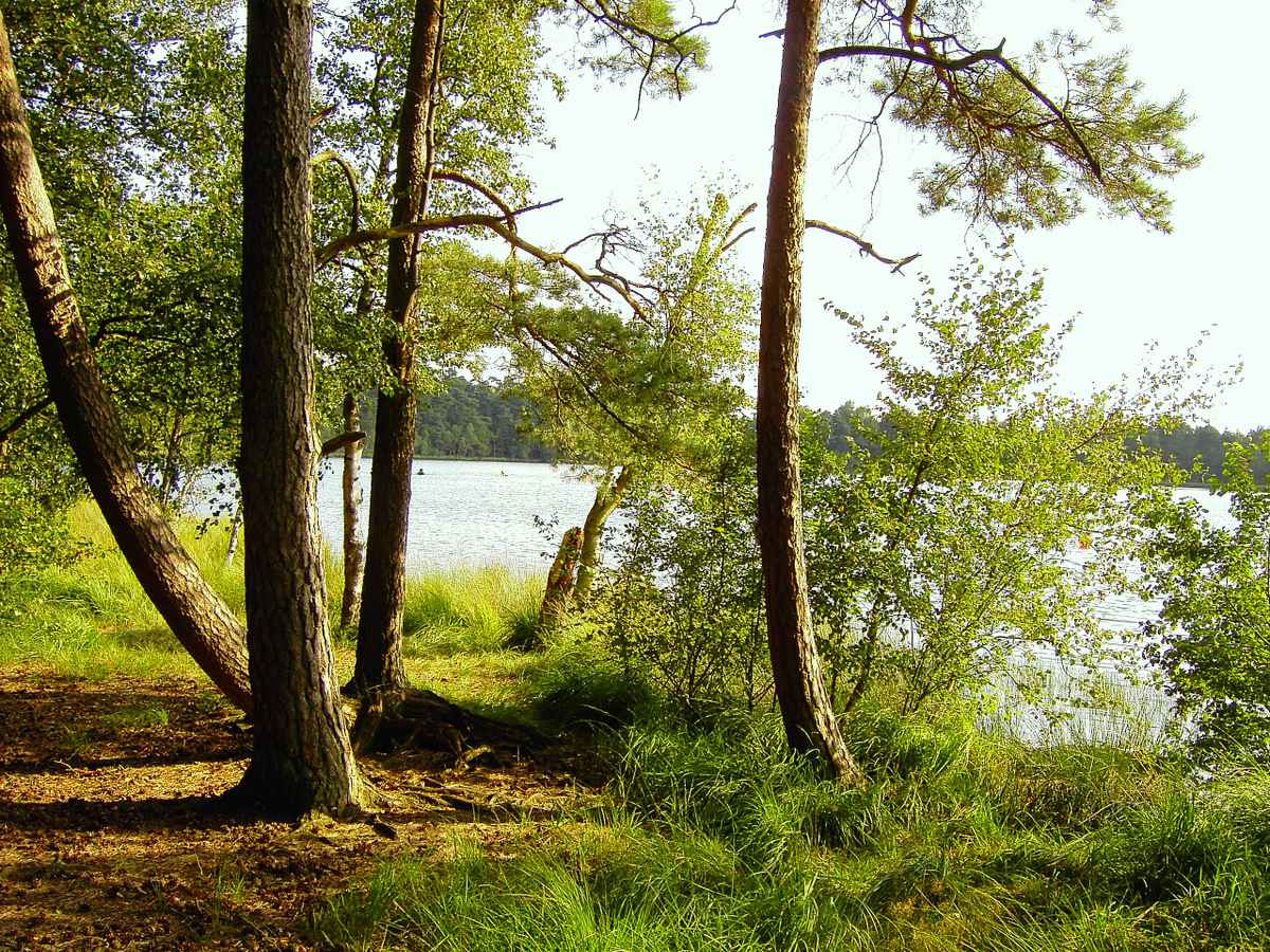 Sommertag am See