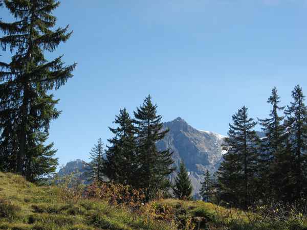 Col de la Croix Bäume