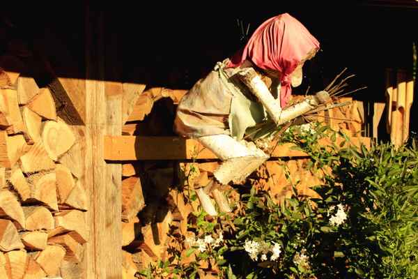 * ws *tanz auf dem besen