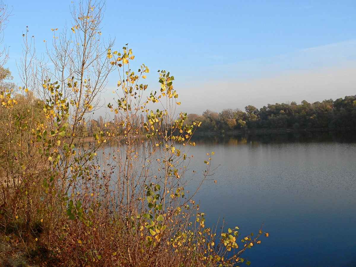 alter Baggersee 1