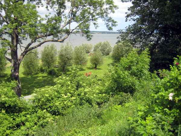 Sommer, komm bald wieder