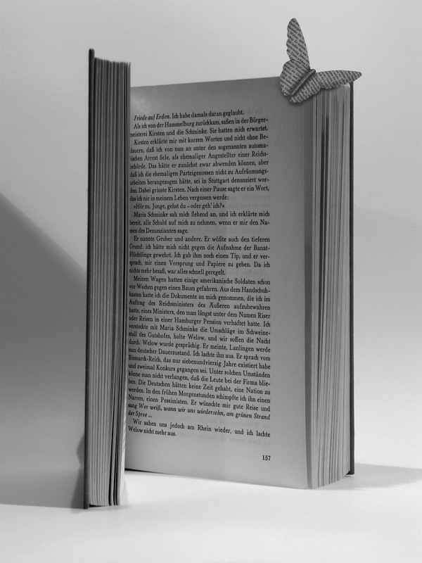 Lesen beflügelt No.2