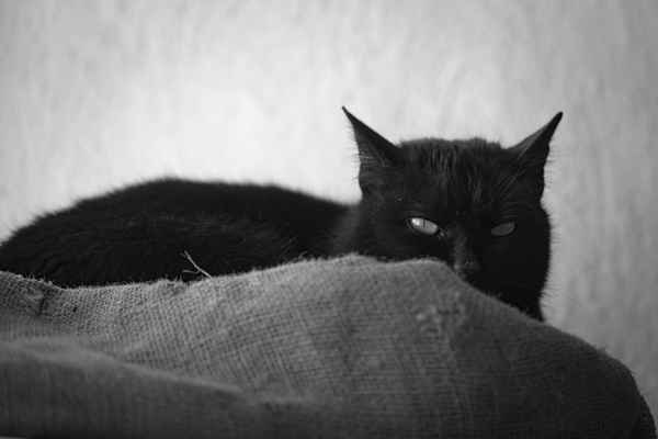 Der Blick