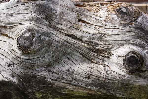Wenn Holz altert