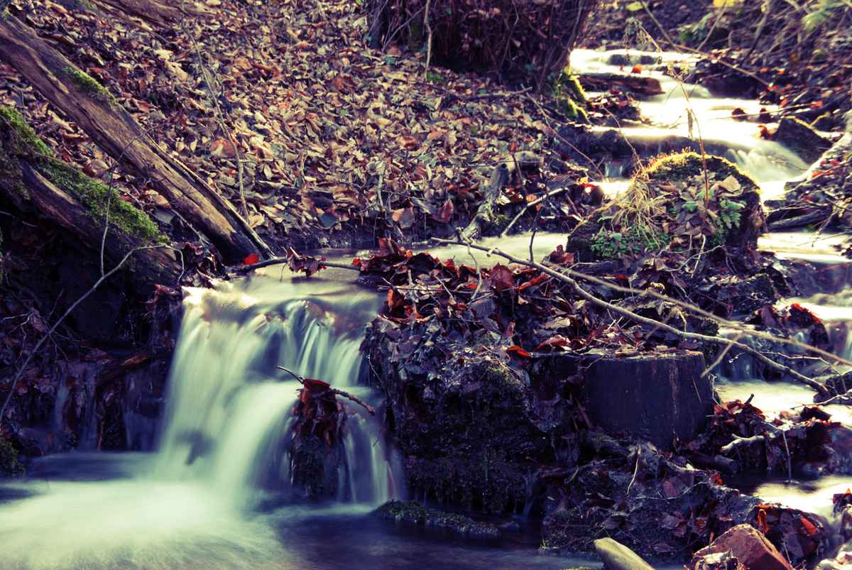 Herbst, der eigentlich Winter sein sollte
