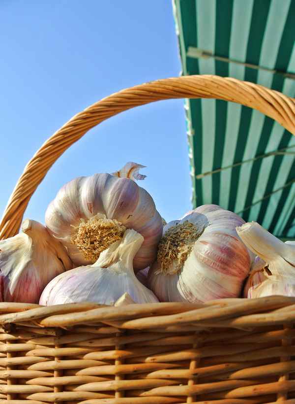 knoblauch auf dem wochenmarkt