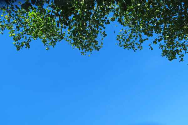 Blick in den Himmel