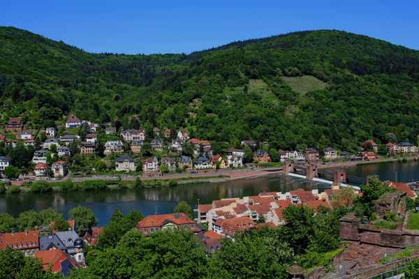 Neckar.Blick