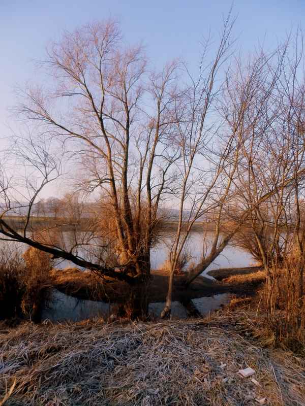 Eine Insel entsteht.