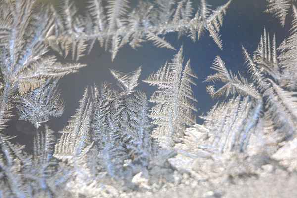 Eisblumen_1