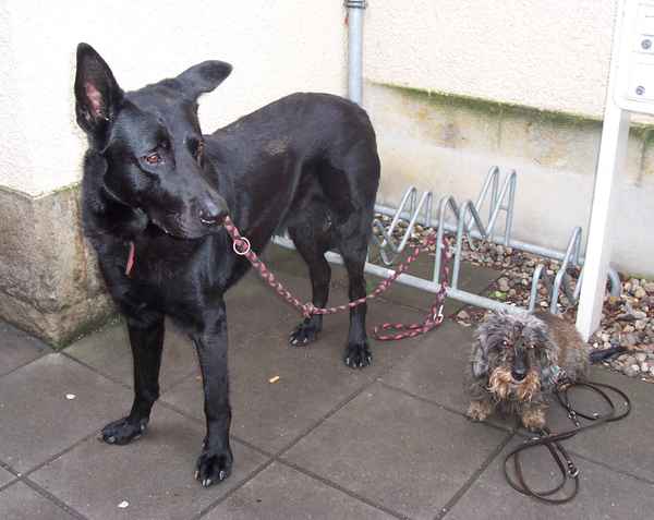 Wer hat einen größeren Freund?