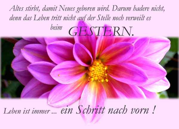 Altes stirbt