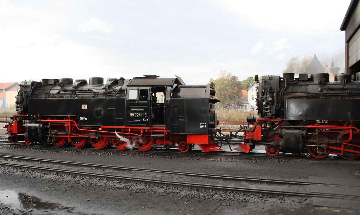 Vor dem Schuppen in Wernigerode (2)