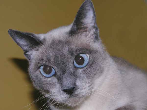 Schielen? Wer ... ich ????