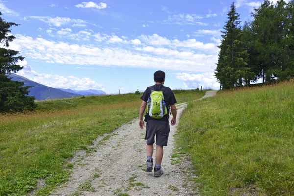 Wanderer beim Wandern, Südtirol, Rodenecker Alm