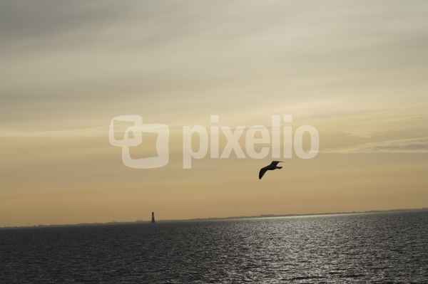 Sonnenlicht spiegelt über das Meer