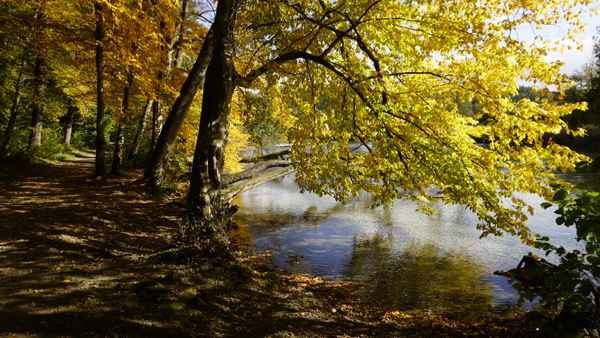 Herbststimmung