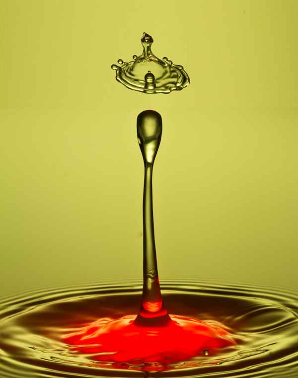 Fliegende Wasserkrone