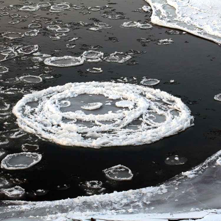 Eisschollen auf der Weser 3