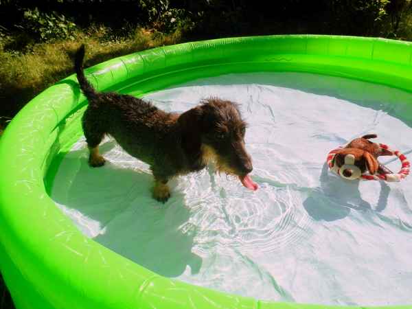 Hey, wem geht es besser?