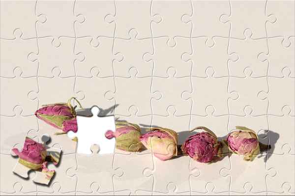 Rosenpuzzle